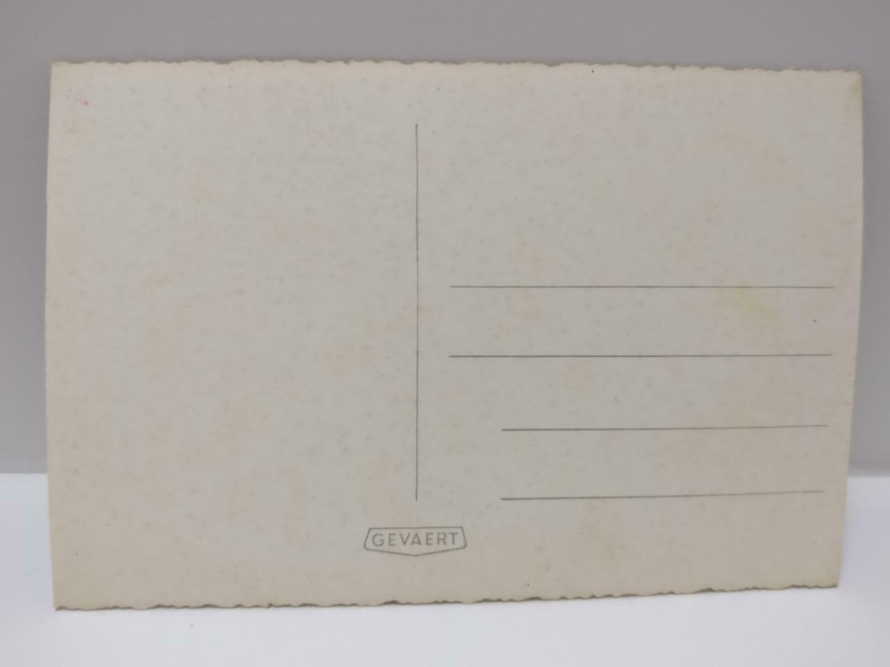 1960s Vintage Overseas Chinese Lady In Dress Sitting At Garden B&W Postcard P532