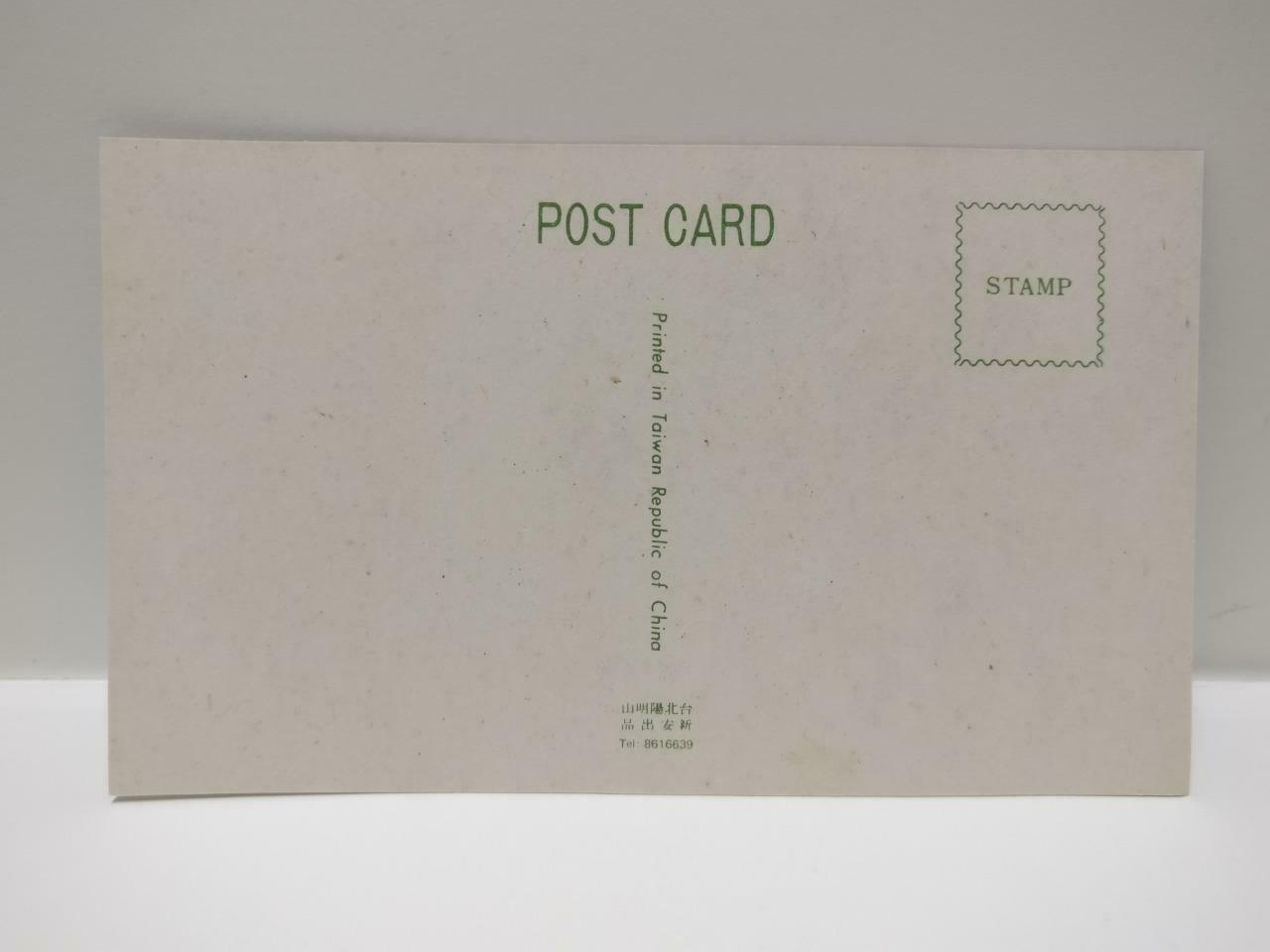 Vtg Taiwan The Stone Gorilla Embraces Her Child Unique Rock Color Postcard P662