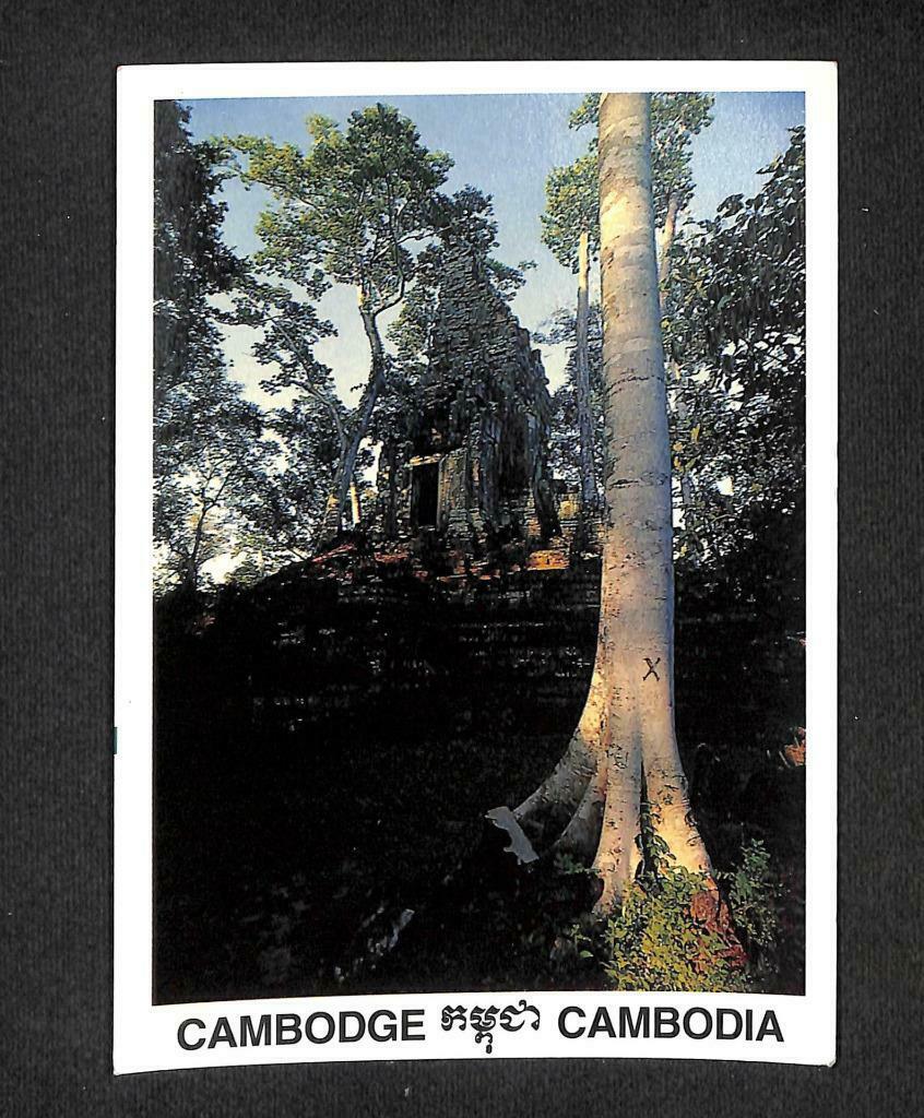 LUCKYPIGEON Cambodia Prasat Preah Palilay Siem Reap Temple Postcard (C1758)
