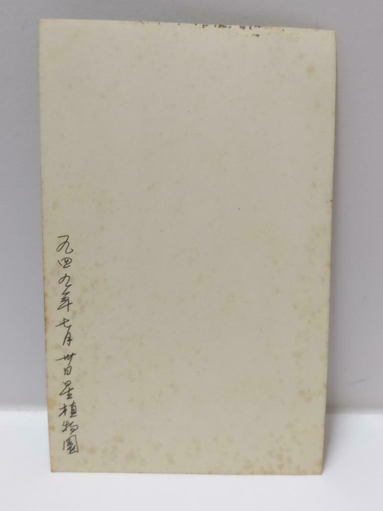 1949 Vtg Asian Chinese Smiling Pretty Lady Garden Candid Portrait B&W Photo P301
