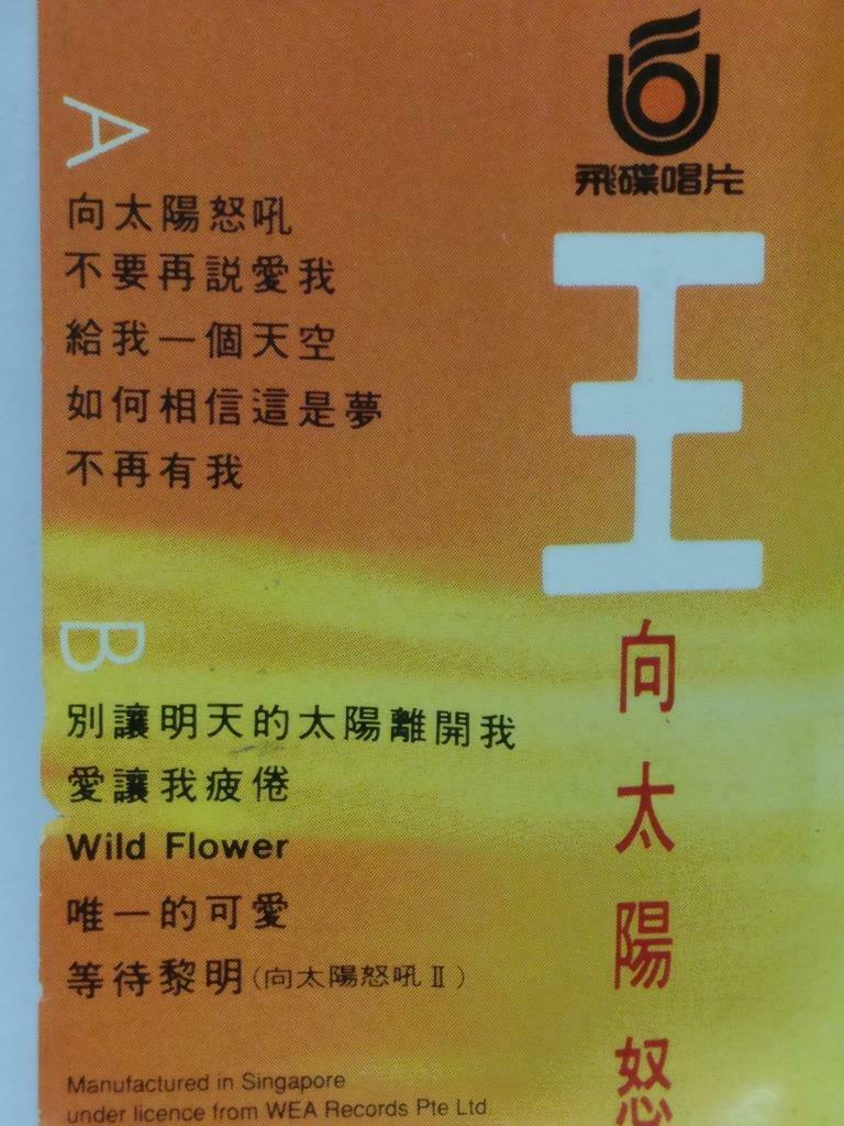 Taiwan Dave Wang Jie 王杰 王傑 向太阳怒吼 卡帶 磁帶 Singapore Chinese Cassette w/ Lyric CT366