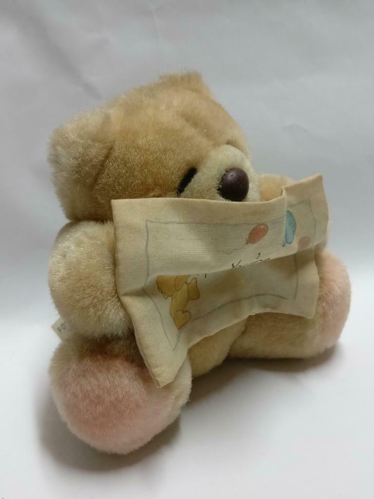 Rare Forever Friends Bear You're Special Message 5" Plush Soft Toy F/S (PTY126)