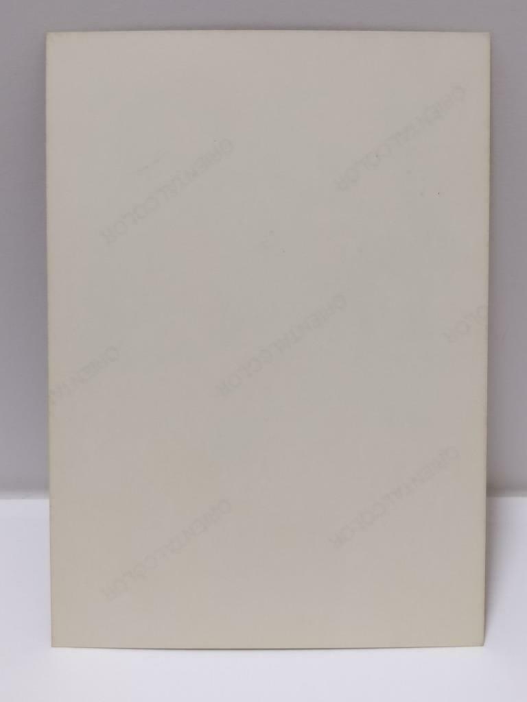 Vintage Hong Kong Actress Carina Lau 劉嘉玲 刘嘉玲 & Soft Toys Photo F/S (P110)