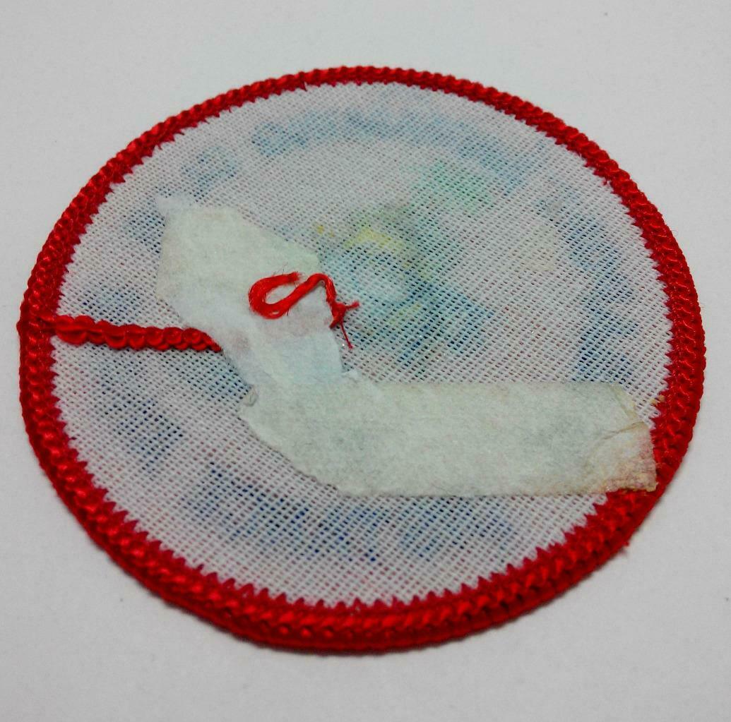 Embroidered Singapore Swimming Club 100M Award Iron On Clothes Patch (A942)