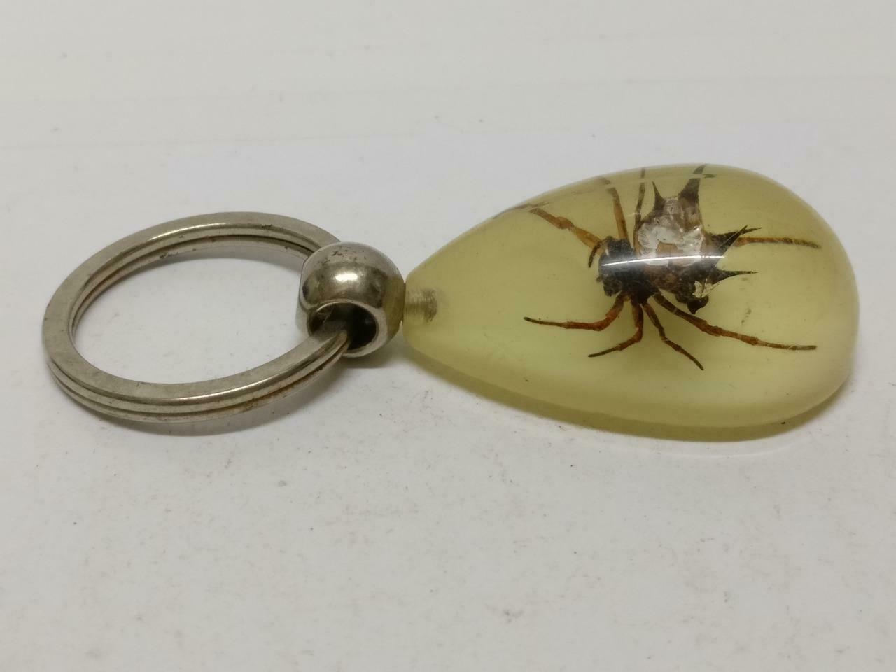 LP888 Rare Vintage Spider Insect Specimen Acrylic Teardrop Shaped Keychain F/S (B800)