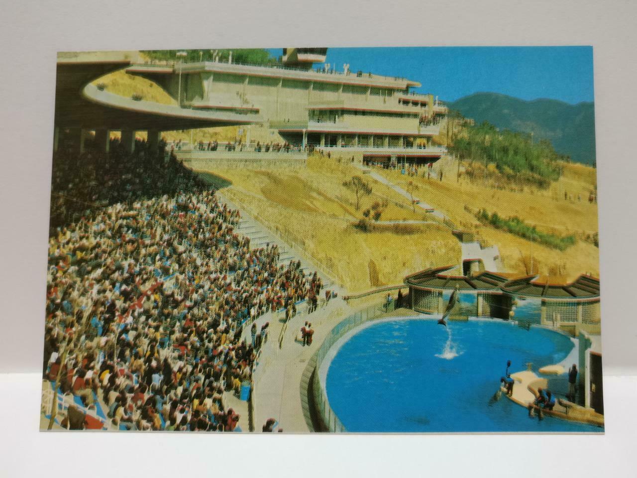Vintage Hong Kong The Ocean Park Dolphin Show 香港海洋公园 Postcard (P796)