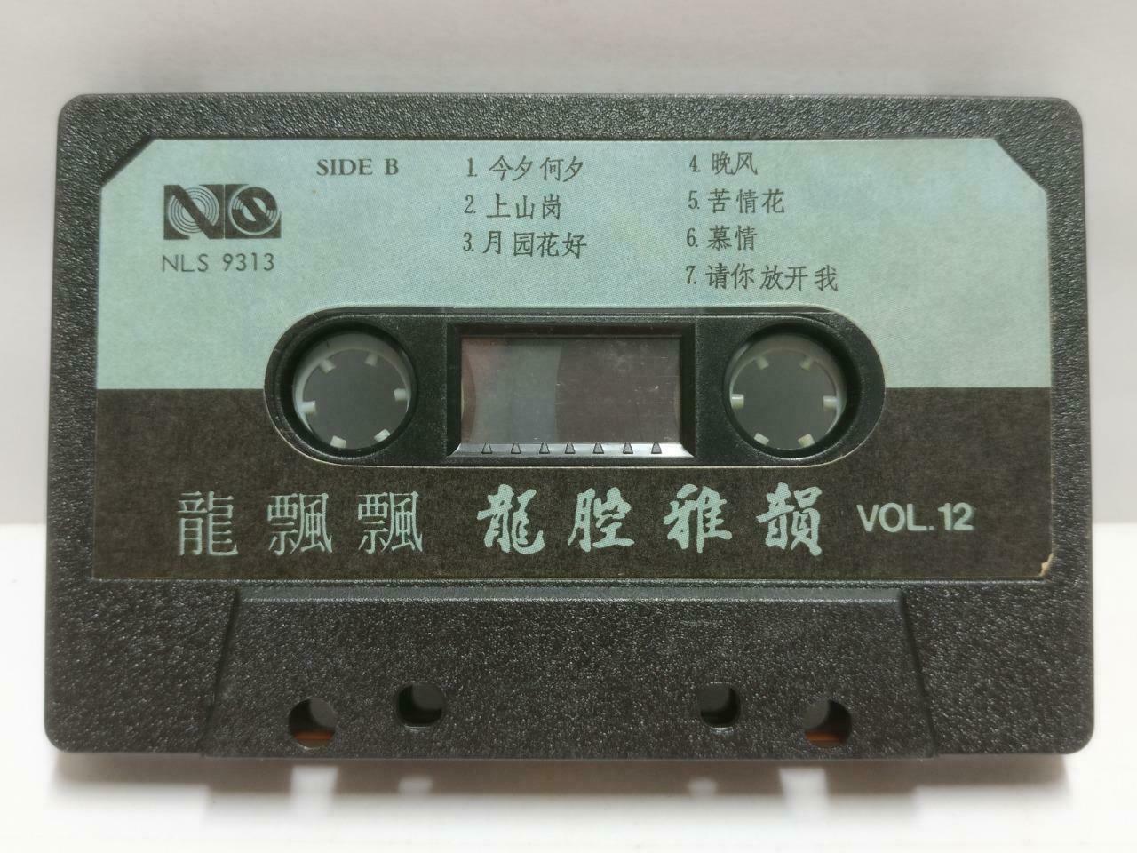 Taiwan Long Piao Piao 龙飘飘 磁带 卡带 碧南村的姑娘1986 Rare Singapore Chinese Cassette CT577