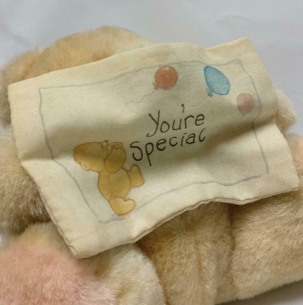 Rare Forever Friends Bear You're Special Message 5" Plush Soft Toy F/S (PTY126)