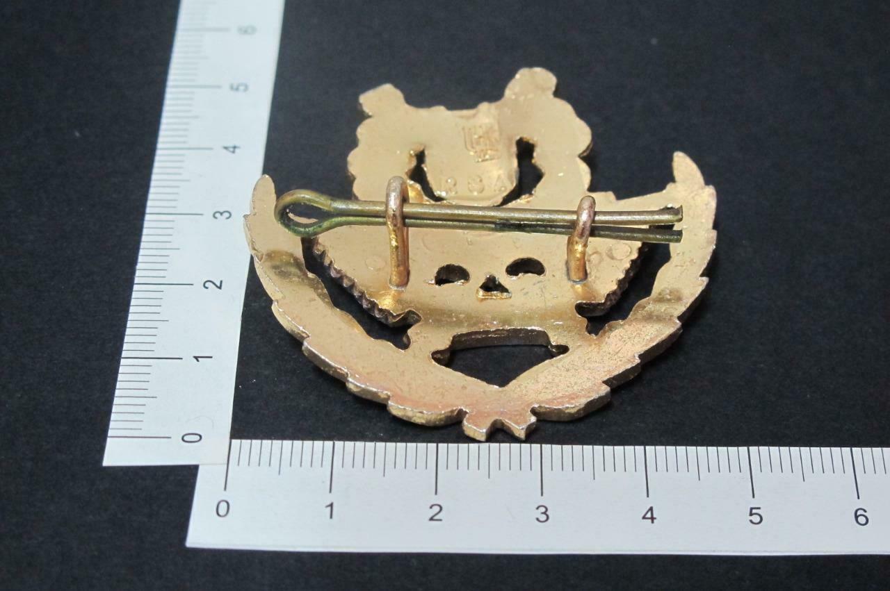 Rare Singapore RSAF Air Force Pin Badge F/S (A122)