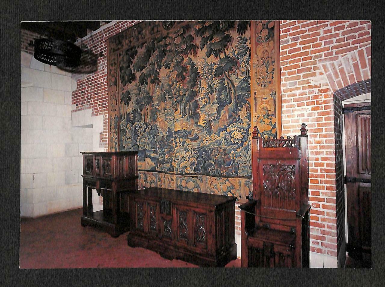LUCKYPIGEON Chateau d'Amboise Wall Art France Postcard (C1514)