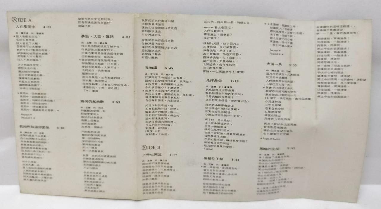 Taiwan Dave Wang Jie 王杰 王傑 人在风雨中 卡帶 磁帶 1989 Singapore Chinese Cassette CT377