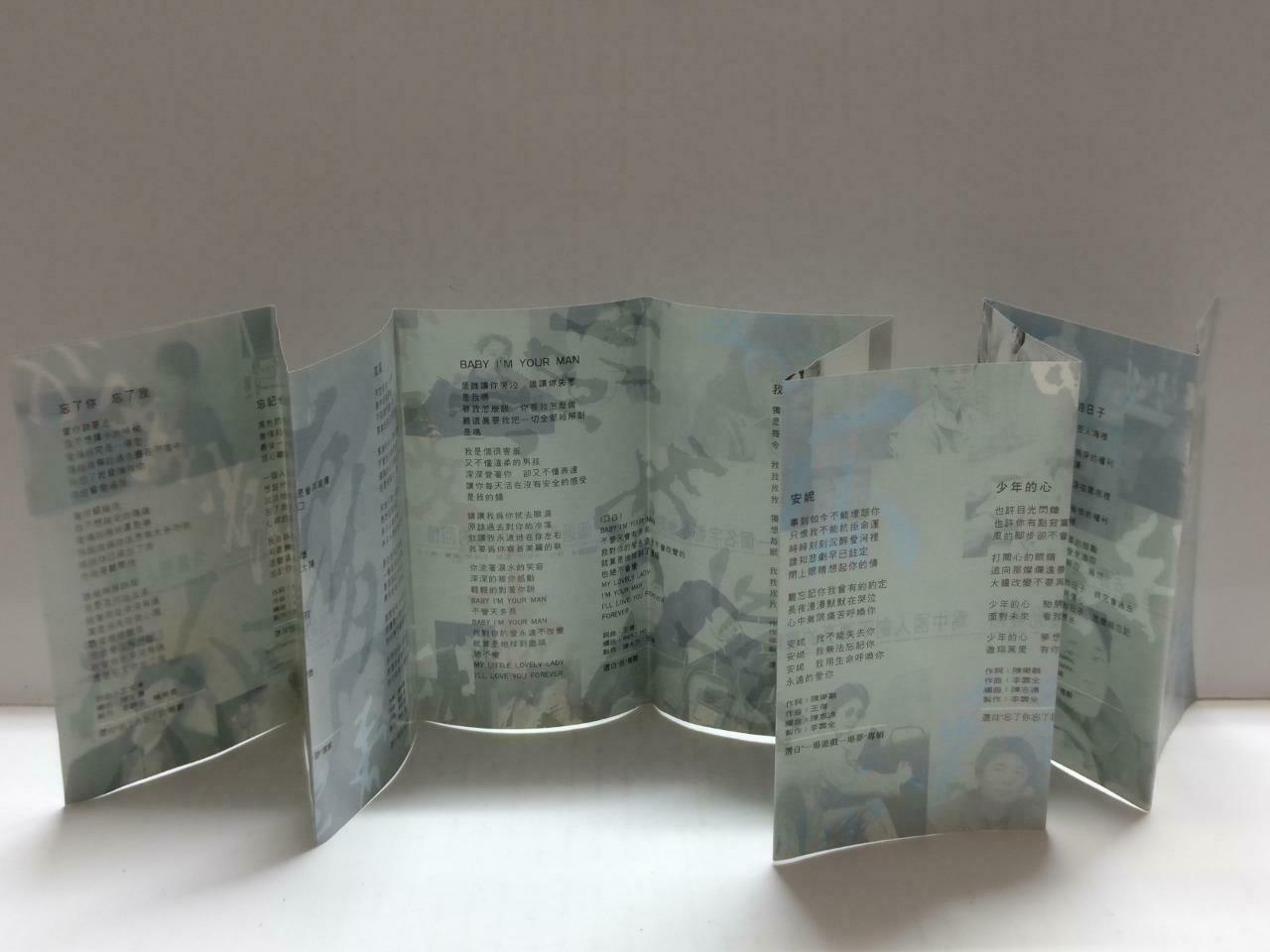 Taiwan Dave Wang Jie 王傑 王杰 孤星梦 卡帶 磁帶 1994 Rare Singapore Chinese Cassette CT869