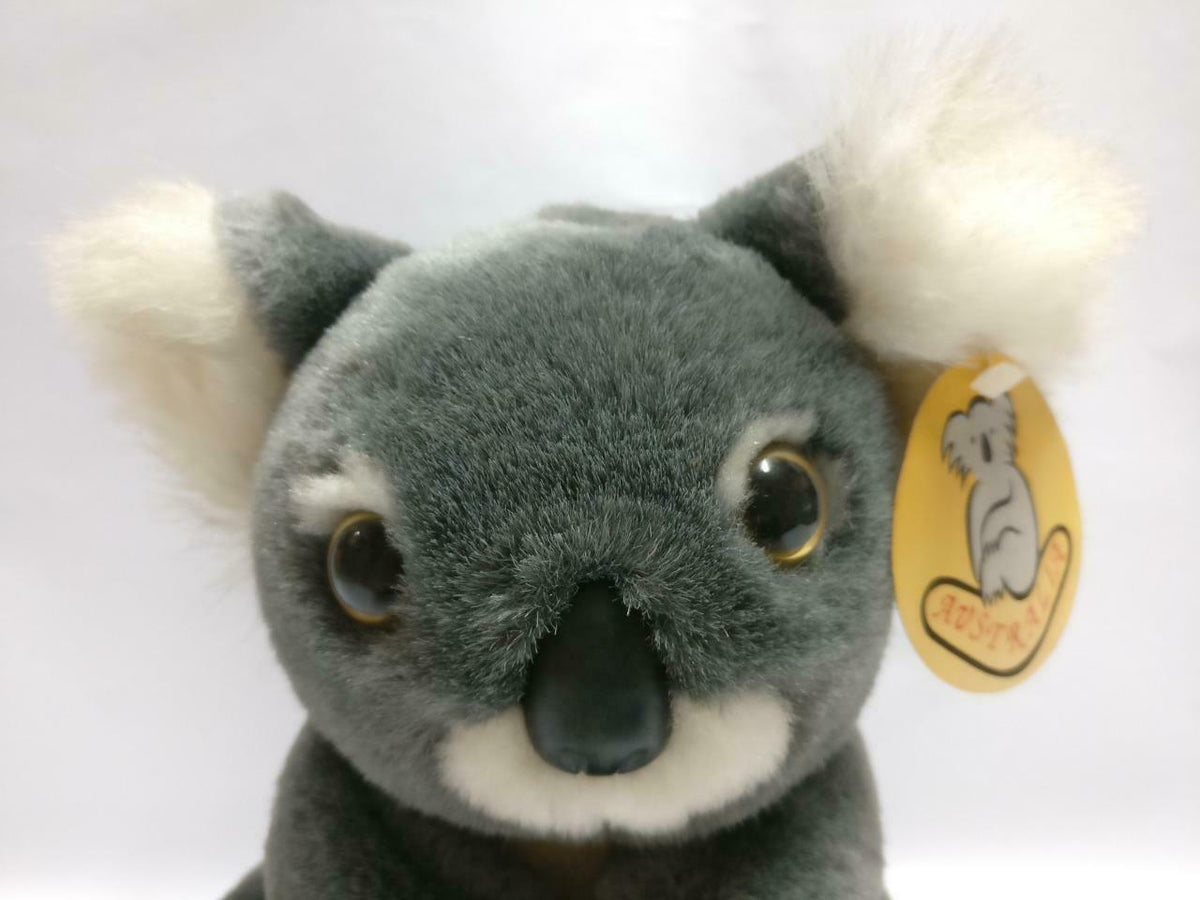 Australia Cute Koala Bear With Boomerang Souvenir 7" Plush Soft Toy F/S (PTY072)