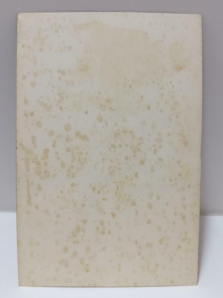 1960s Overseas Chinese Handsome Man Shirt & Tie Portrait Studio B&W Photo P514