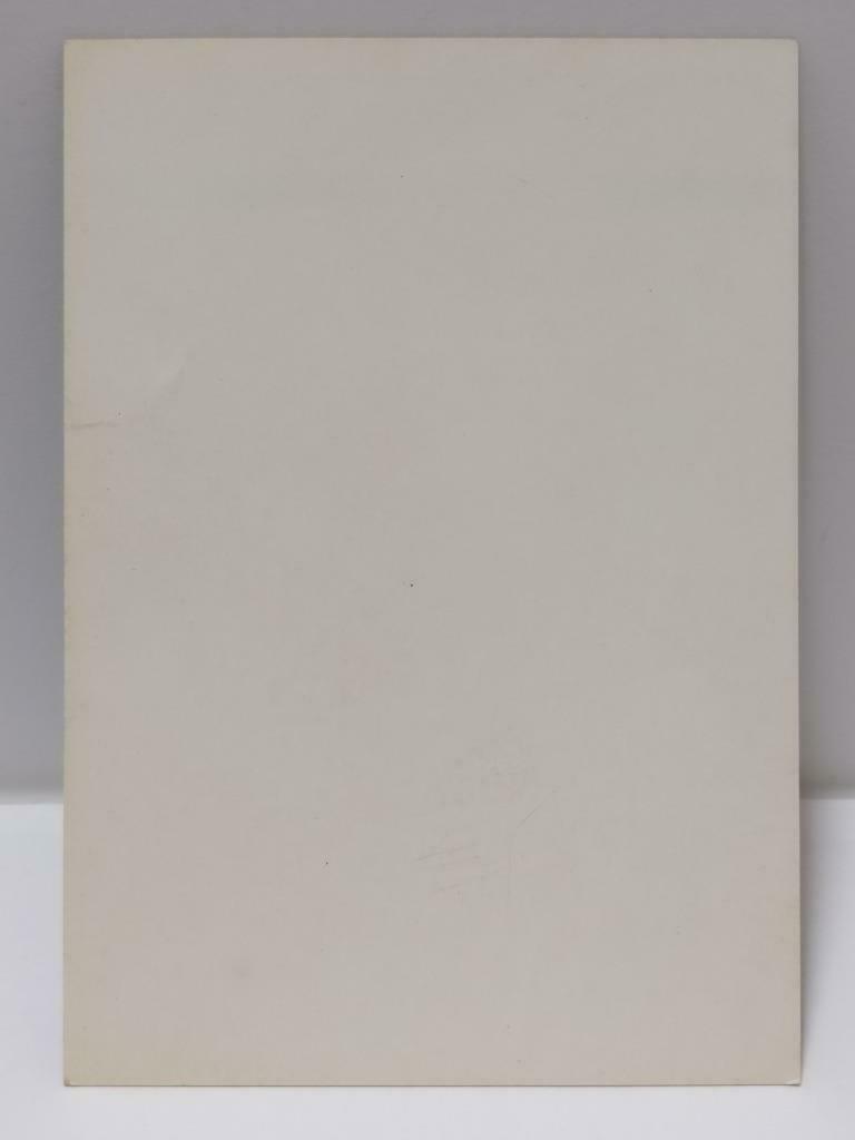 Vintage Japan Japanese Singer Naoko Kawai 河合奈保子 Photo Card F/S (P125)