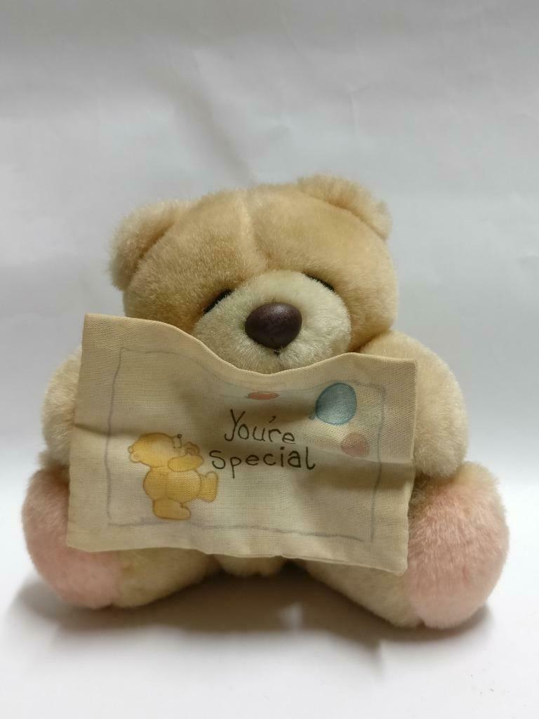 Rare Forever Friends Bear You're Special Message 5" Plush Soft Toy F/S (PTY126)