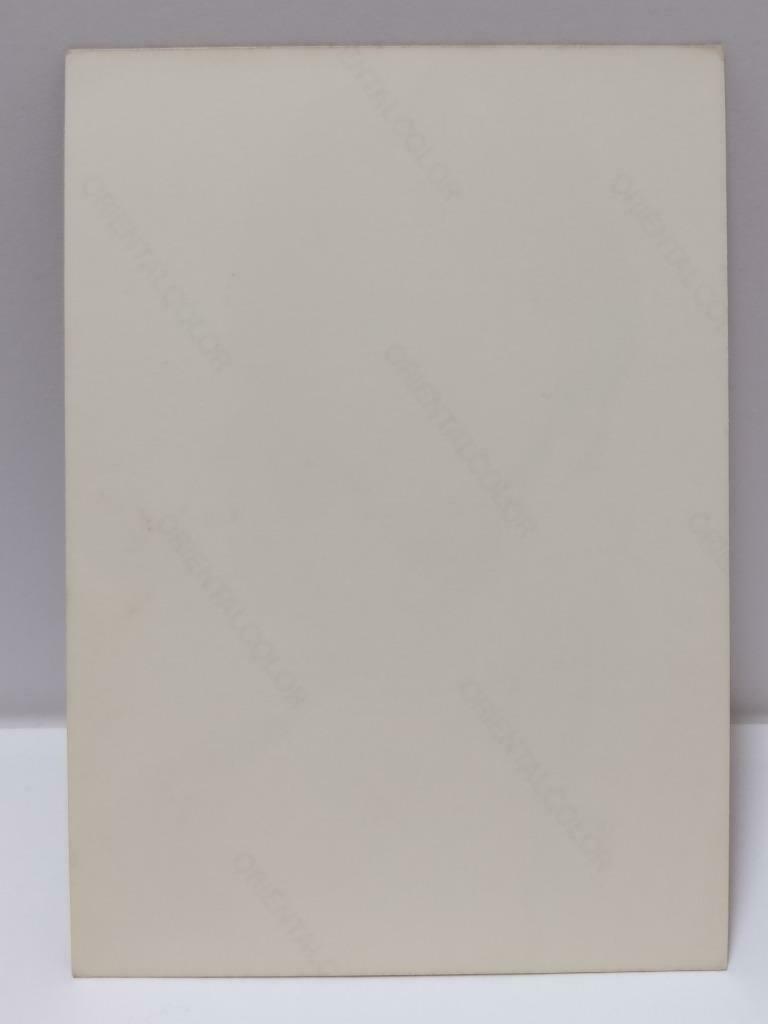 Vintage Hong Kong Actress Gong Cien Mimi Kung 龚慈恩 龔慈恩 Photo F/S (P111)