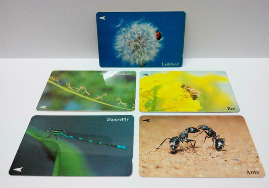 Used Vintage Singapore Phone Cards x5 Insects Bee Ant Ladybird Damselfly (A438)