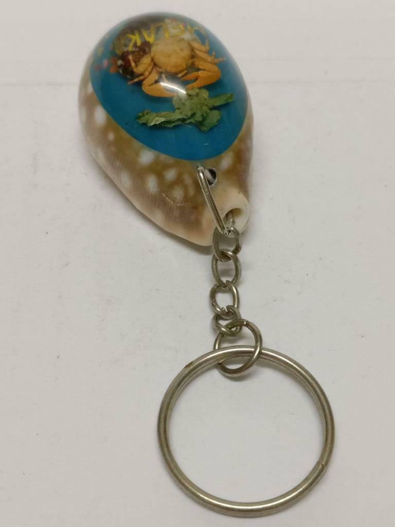 LP888 Vintage Malaysia Melaka Malacca Seashell Sea shell Crab Keyring F/S (B707)