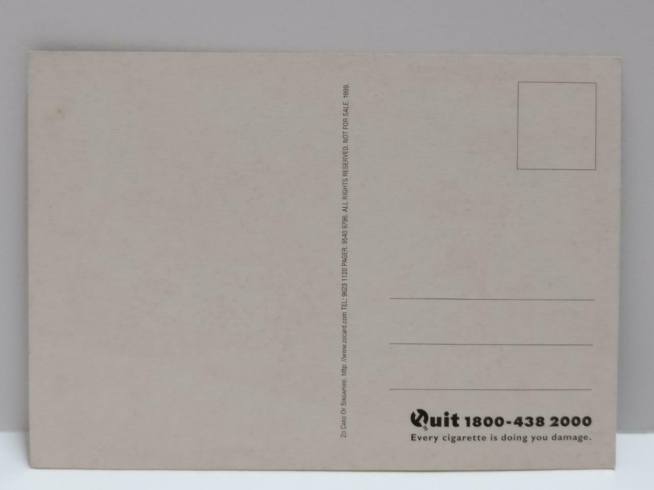 LUCKYPIGEON888 Quit Smoking Cigarette Lighter Singapore Ad Postcard (E0303)