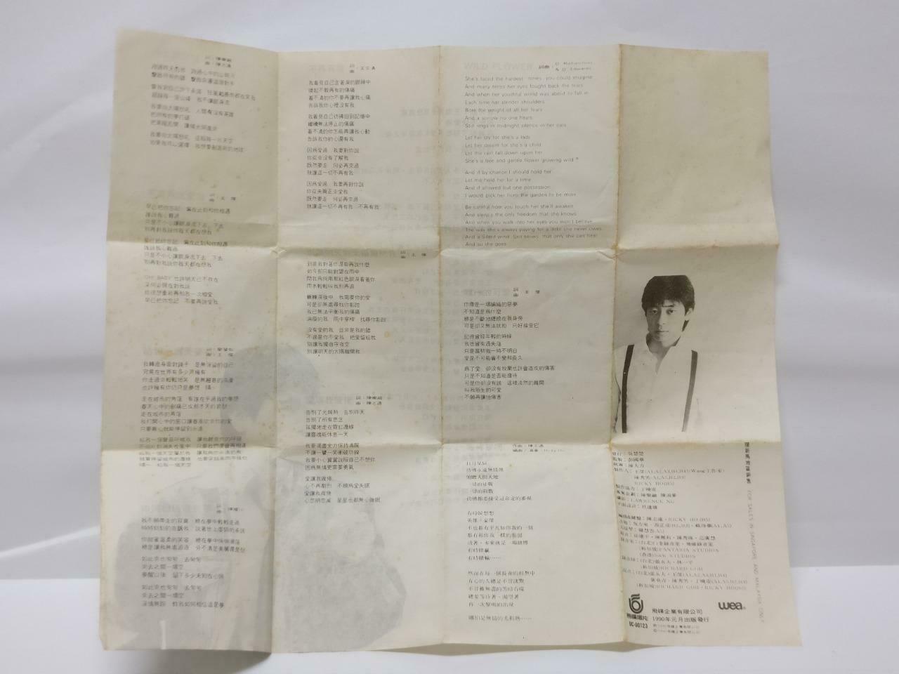 Taiwan Dave Wang Jie 王杰 王傑 向太阳怒吼 卡帶 磁帶 Singapore Chinese Cassette w/ Lyric CT366