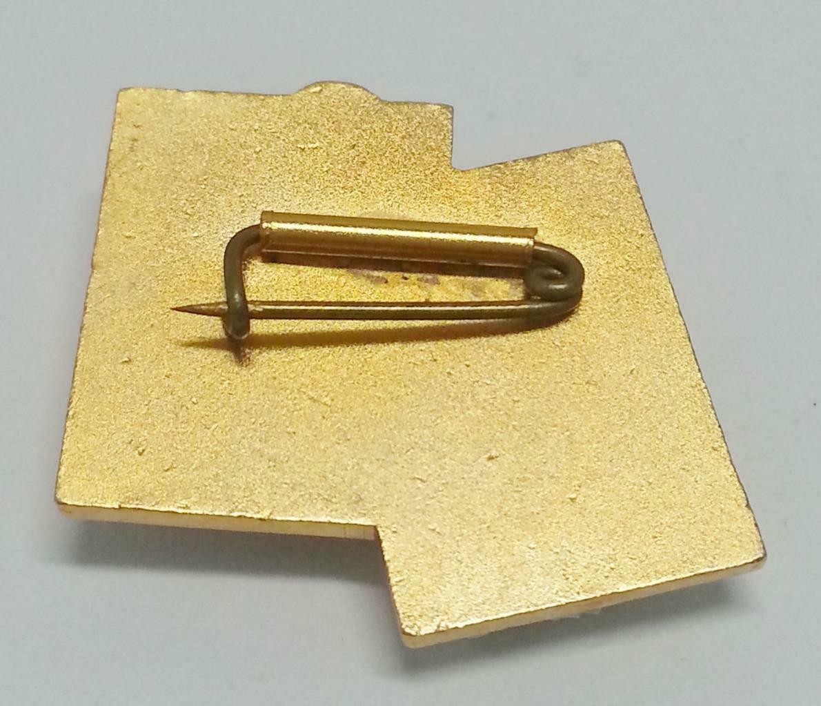 Rare Vintage Japan Lions Club International Japanese Words Pin Badge F/S (B148)