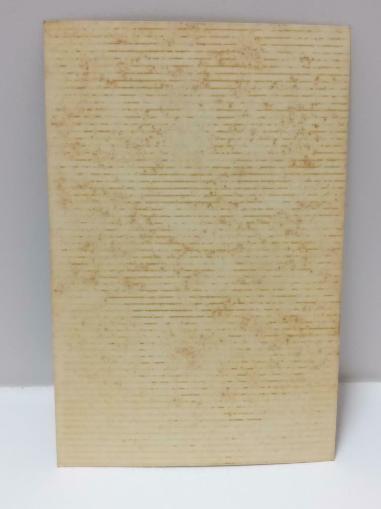 1960s Chinese Children Siblings Beside The Piano Retro Portrait B&W Photo (P519)