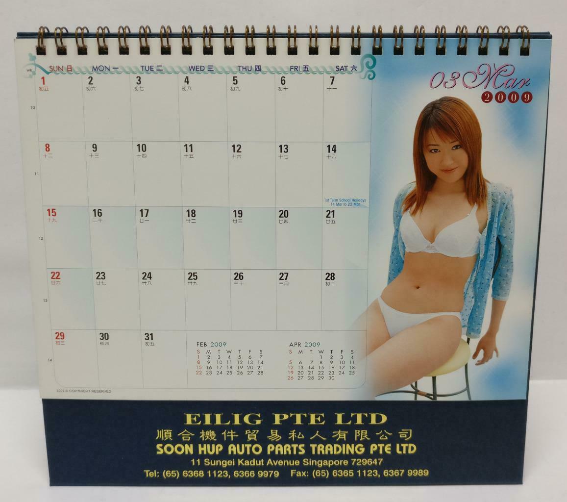 Asian Sexy Cheesecake Bikini Bra Ladies Beauties 2009 Desk Calendar (A2088)