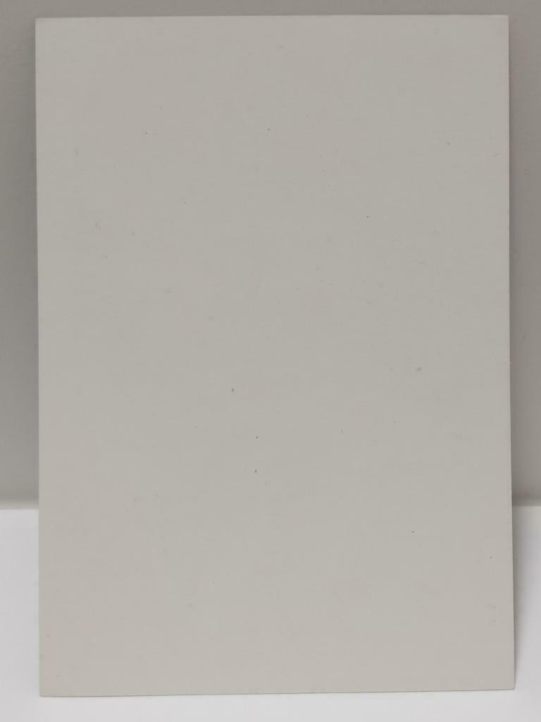 Vintage Taiwan Singer Lin Shu Rong 林淑容 Photo Card F/S (P139)