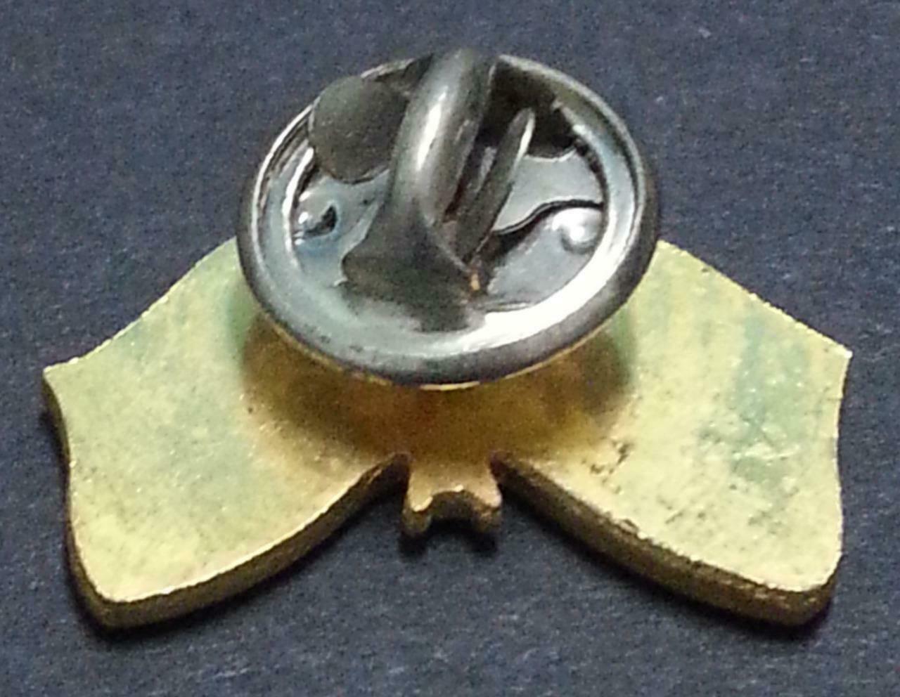 Rare Vintage Singapore & Rotary Club Pin Badge F/S (B269)