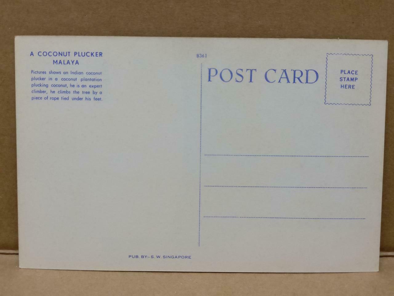 LUCKYPIGEON A Coconut Plucker Malaya Postcard (C1873)