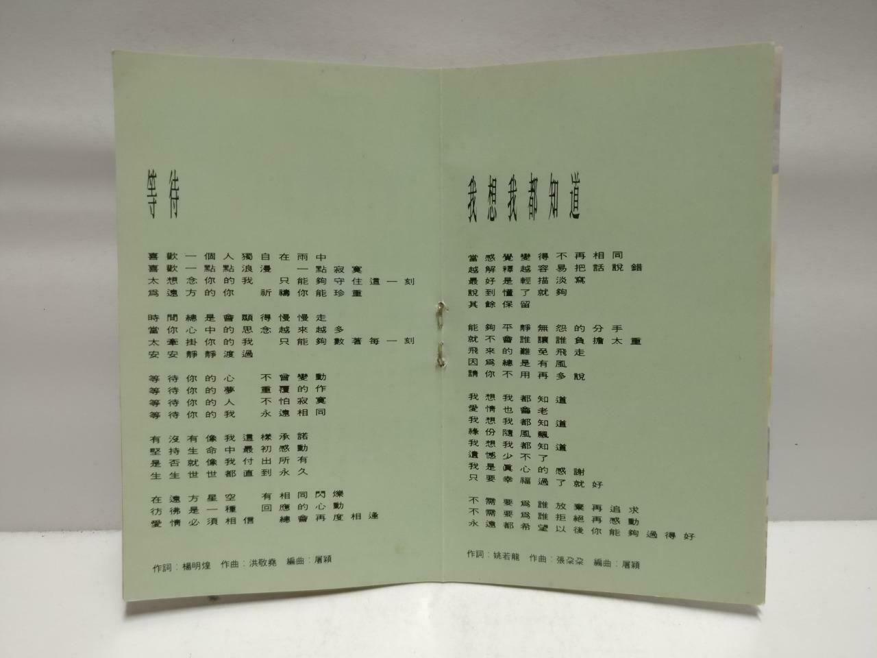 Taiwan Fang Wen Ling ⽅⽂琳 磁带 卡带 飞起来 1993 Rare Malaysia Chinese Cassette CT586