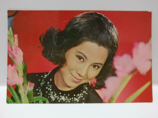 Vintage Taiwan Ivy Ling Po 凌波 Color Postcard F/S (P059)