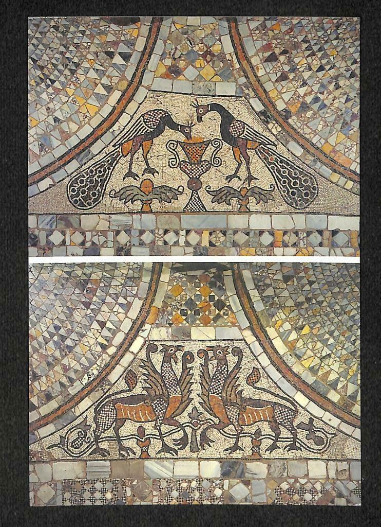 LUCKYPIGEON Basilica Dei Santi Mosaic Floor Peacocks Wine Glass Postcard (C1643)