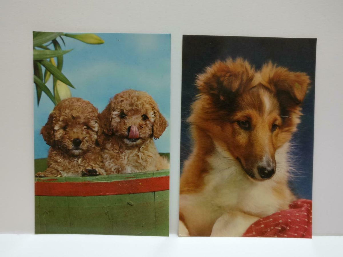 LUCKYPIGEON888 Cute Dogs Cartoon Panda Bear Deer Art Postcard Lot Of 5 (E0487)
