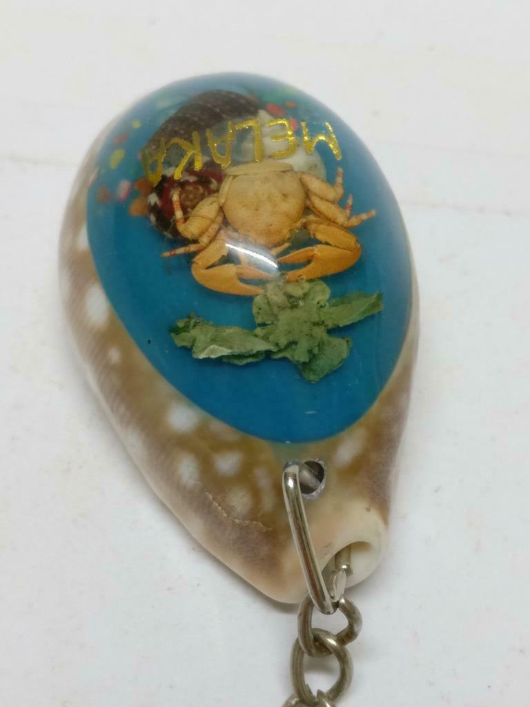 LP888 Vintage Malaysia Melaka Malacca Seashell Sea shell Crab Keyring F/S (B707)