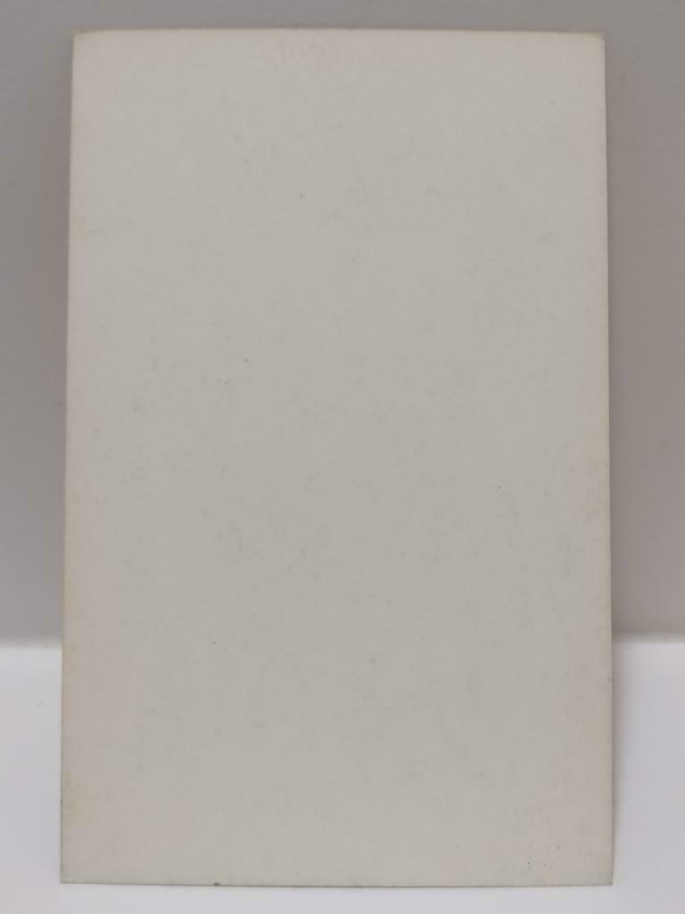 Vintage Hong Kong China Actress Chinese Cheongsam 旗袍 Photo Card F/S (P173)