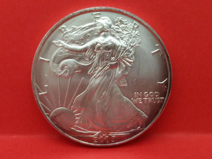 CH888 2005 Walking Liberty United States of America 1 oz Fine Silver Coin (OC486)