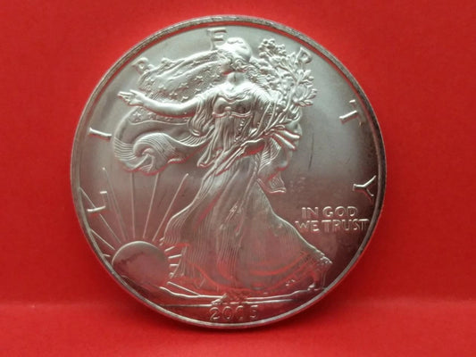 CH888 2005 Walking Liberty United States of America 1 oz Fine Silver Coin (OC486)