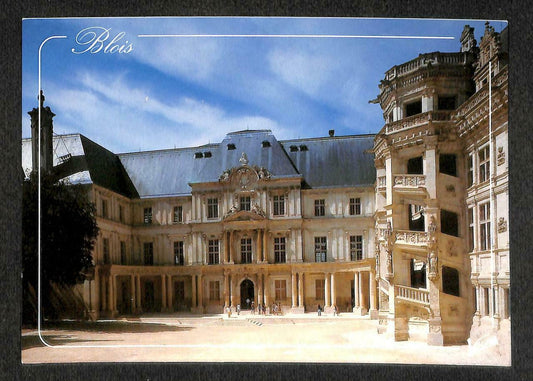 LUCKYPIGEON France BLOIS Architecture Historical Building Postcard (C1601)