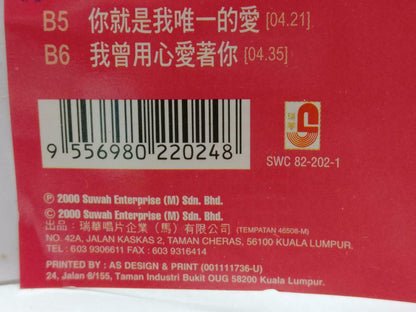 Taiwan Pan Mei Chen 潘美⾠ 珍惜今昔 卡帶 磁帶 2000 Rare Malaysia Chinese 2x Cassette CT841