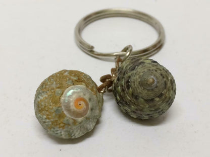 LP888 Rare Vintage Natural Seashells Art & Craft Souvenir Keychain Keyring F/S (B771)