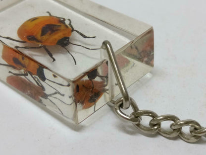 LP888 Vintage Flower Bug Insect Specimen Acrylic Transparent Keychain Keyring F/S B815