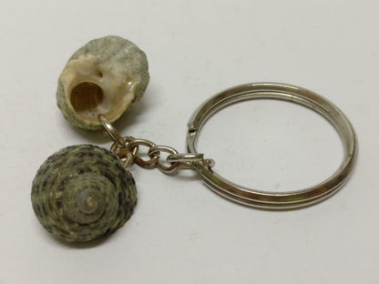 LP888 Rare Vintage Natural Seashells Art & Craft Souvenir Keychain Keyring F/S (B771)