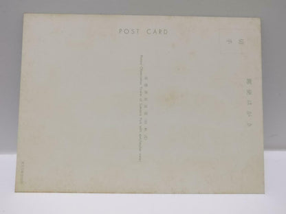 Vintage Japan Sumaura Park Rotary Observation Tower Tourist Postcard (P714)