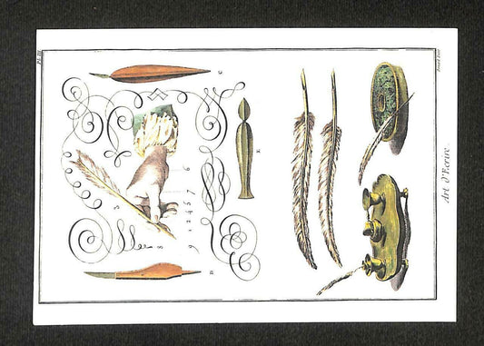 LUCKYPIGEON Calligraphy Pen Nib Ink Holder Writings Art France Postcard (C1602)