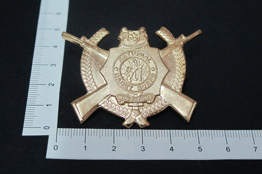 Rare Vintage Singapore Army National Cadet School Corps Rifles Pin Badge (A126)
