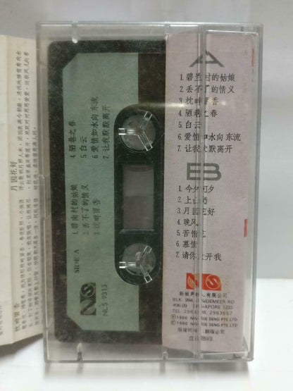 Taiwan Long Piao Piao 龙飘飘 磁带 卡带 碧南村的姑娘1986 Rare Singapore Chinese Cassette CT577