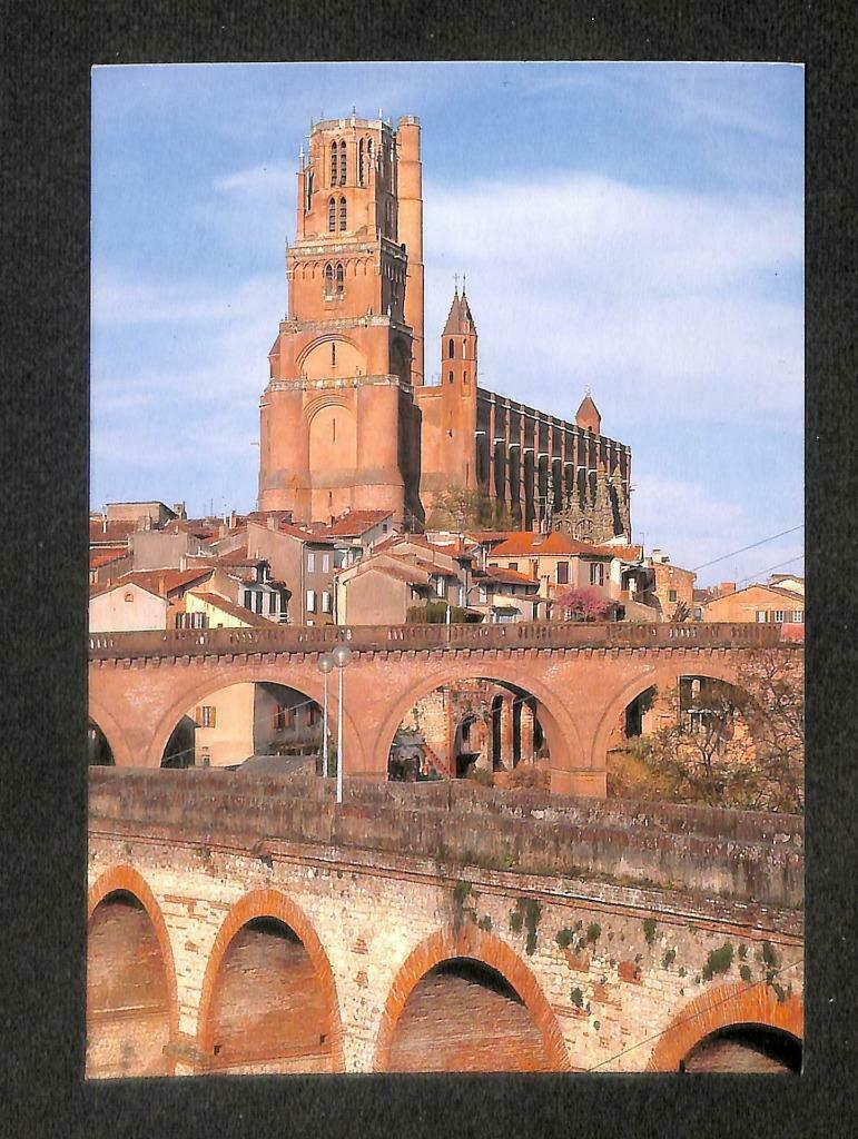 LUCKYPIGEON ALBI Ville d'art Centre de Tourisme Architecture Postcard (C1764)