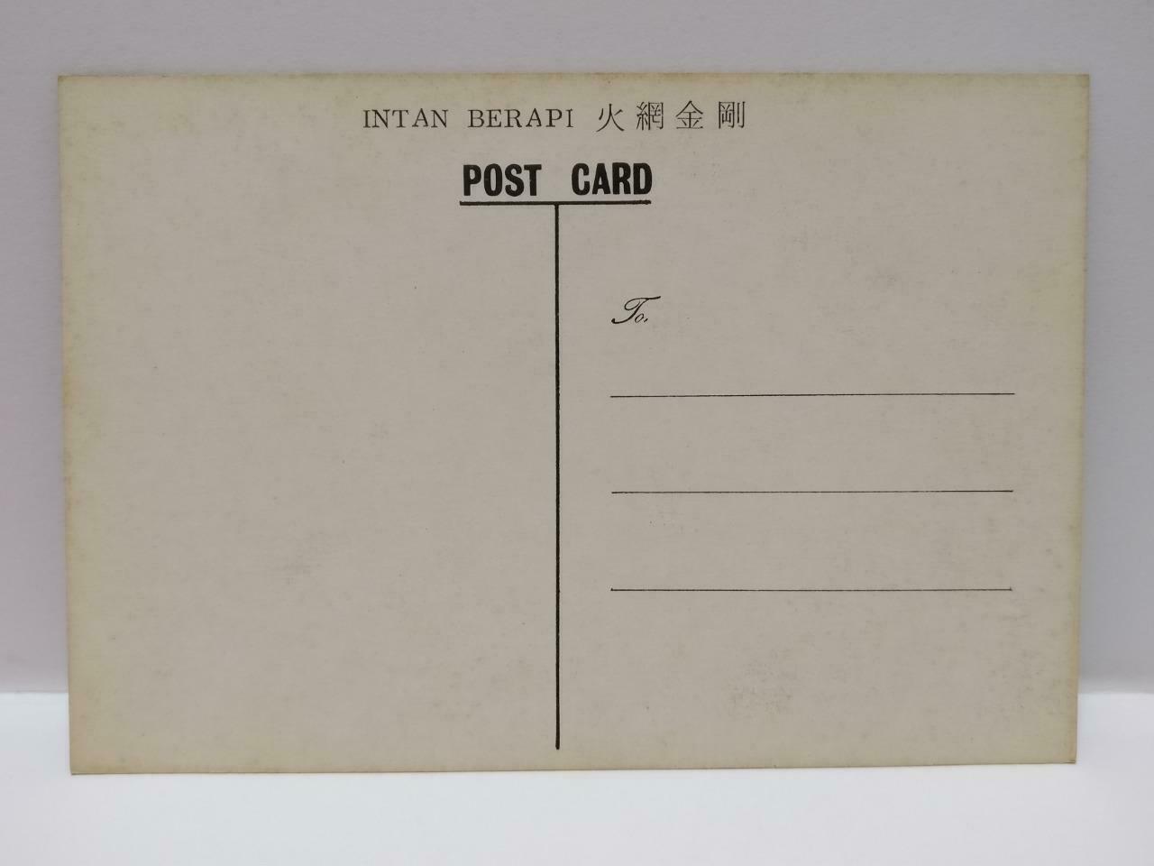 Vintage Malaysia Intan Berapi 火网金刚花 Pink Flower Plant Postcard (P884)